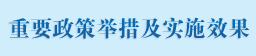 重要政策举措及实施效果